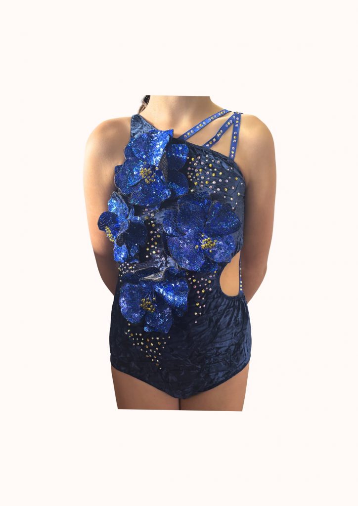 Justaucorps velours bleu - Le coin Paillettes