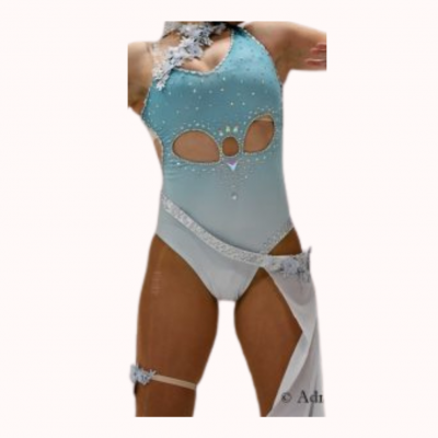 Justaucorps dégradé bleu et blanc