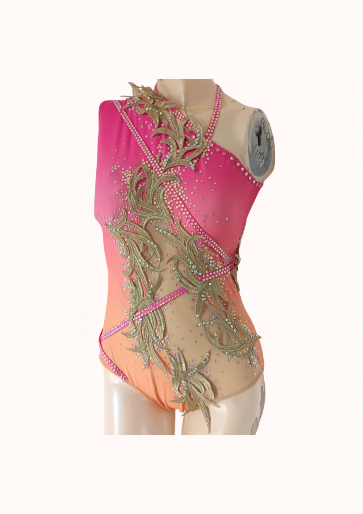 justaucorps rose dégradé