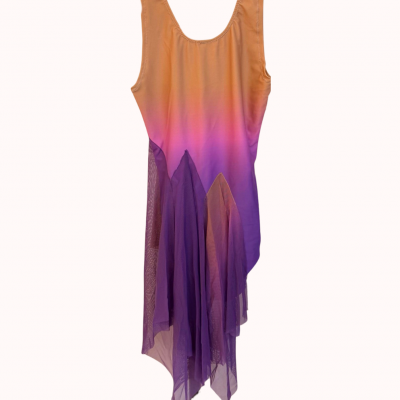 justaucorps dégradé