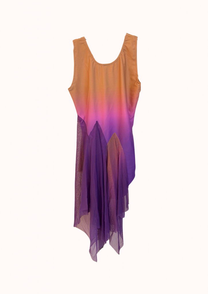 justaucorps dégradé