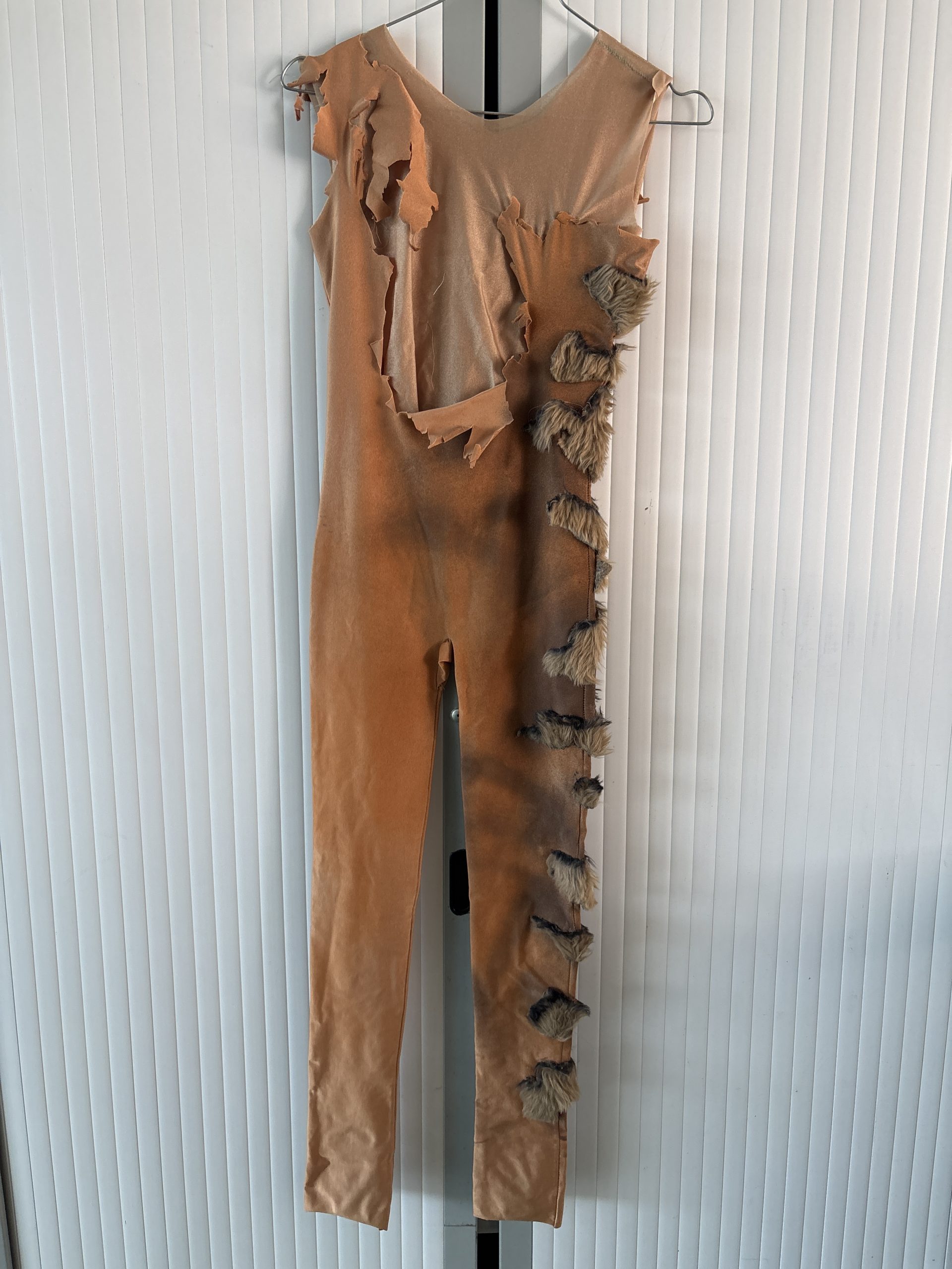 IMG_8507 IMG 8507 scaled